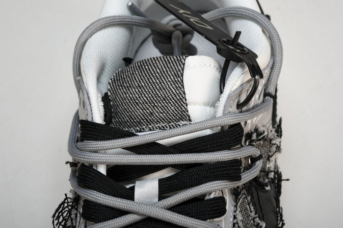 NIKE Dunk SB Low  DJ6188 101