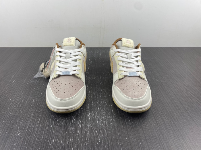 Nike Dunk Low  FD4203-211