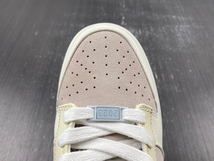 Nike Dunk Low  FD4203-211