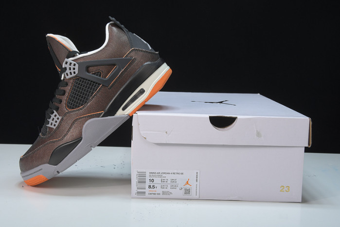 Air Jordan 4 Retro Starfish (W) CW7183-100