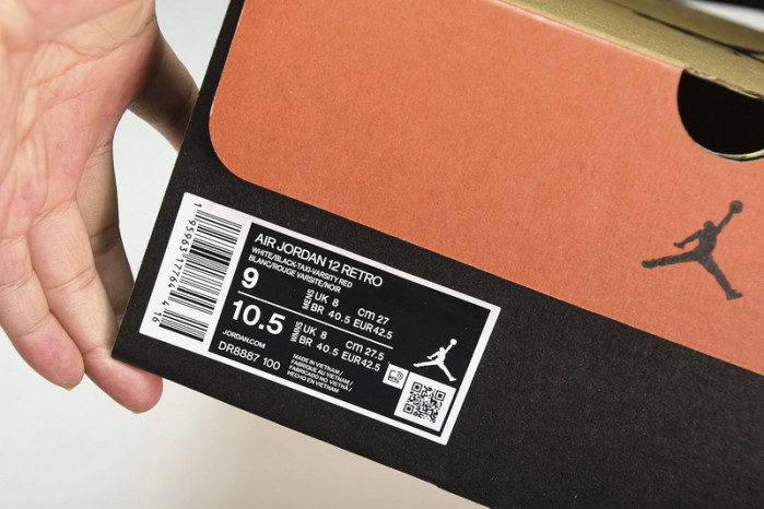 Air Jordan 12 “25 Years in China” DR8887-100