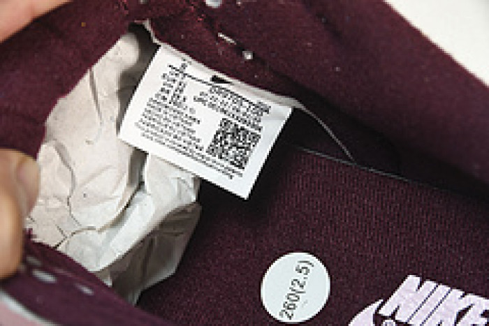 Nike Dunk Low SB DR9705-100