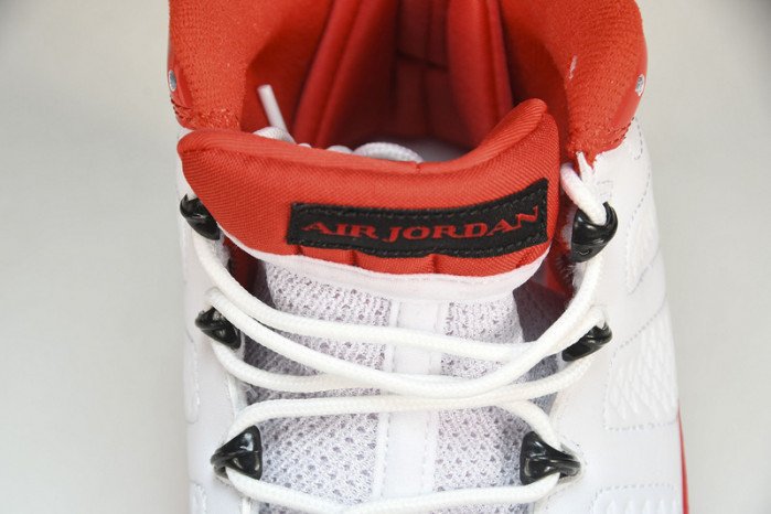 Air Jordan 9 302370-160