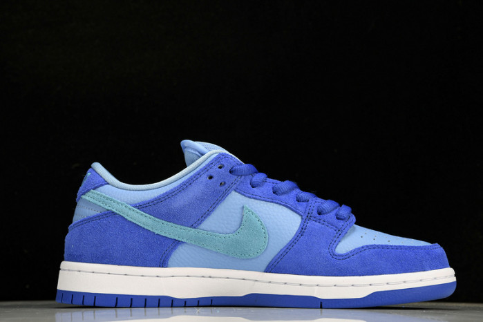 Nike Dunk Low  Pro“Blue Raspberry DM0807-400