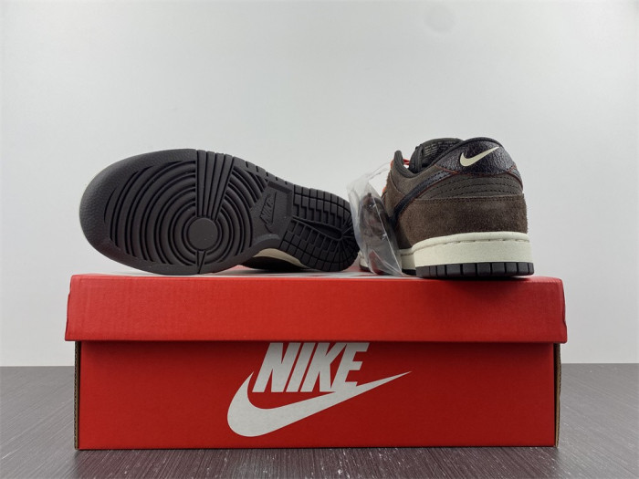 Nike Dunk Low Retro  DQ8801-200