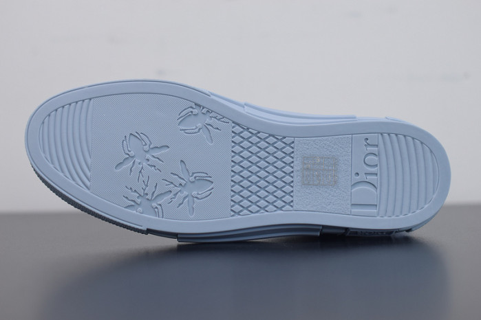 D10R B23 Oblique High Top Sneaker